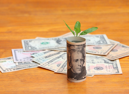 Rolled banknote money twenty US dollar and young plant grow up on the stack of money at the wooden...