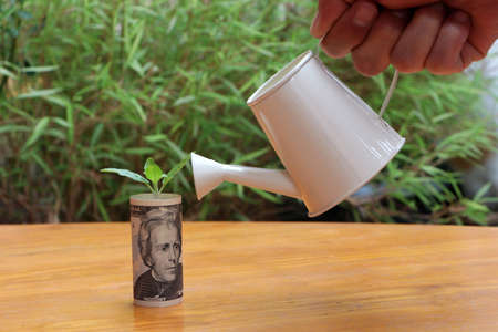 Rolled banknote money twenty US dollar and young plant grow up with small white watering can on hand and green nature background. Concept of money growth or currency interest.の写真素材