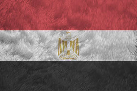 Towel fabric pattern flag of Egypt, Crease of Egyptian flag background, red white black color with the Egyptian eagle of Saladin.の写真素材