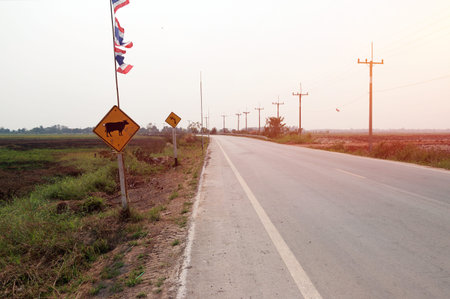 Curve road on countryside with two traffic sign in Thailand. One sign is beware the cow across the...