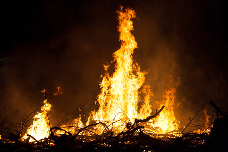 Fire flame, Burning stick of tree on the night. It is a hot glowing body of ignited gas that is...