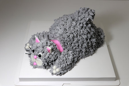 Cake made in the shape of a grey cat with a pink collar. It is doing a crouching pose on a white square paper tray.の写真素材