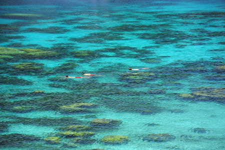 High view of dive in blue sea