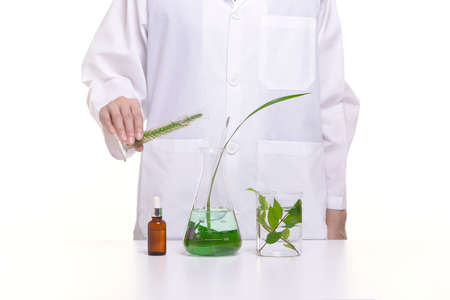 Scientist study and research liquid medicine from natural herbal.の写真素材
