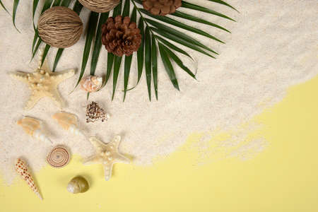 Summer concept and accessories(shells, starfish, coconut leaf)with sandy beach on yellow background.の写真素材