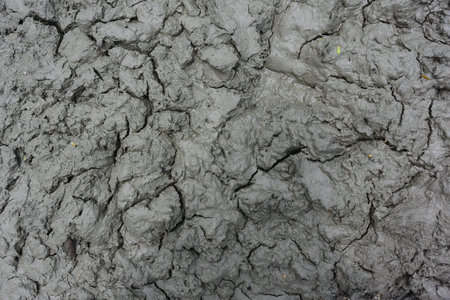 The texture of wet mud, Ground structure is rich in various minerals for plant (Clay background)