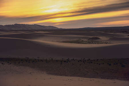 Global warming make arid landscape on the earth.の写真素材