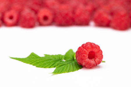 Raspberry on White Background