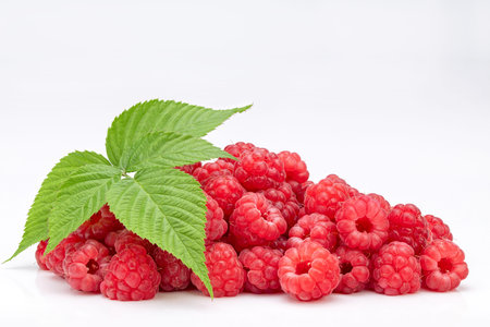 Raspberry on White Background
