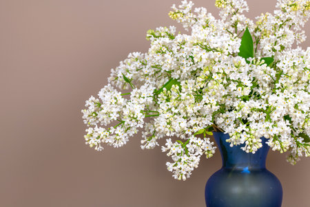 Bouquet of white lilac flowers in a blue vaseの写真素材