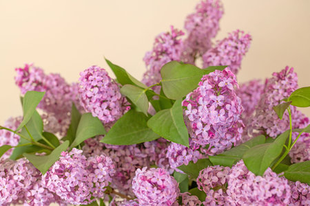Bouquet of lilac flowers on a beige background.