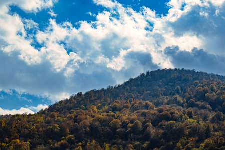 A mountain covered in trees with a cloudy sky in the background. The clouds are white and fluffy, and the sky is blue. The trees are green and brown, and the hill is covered in themの写真素材