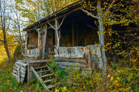 A rustic cabin with a porch and steps leading up to it. The porch is empty and the steps are covered in leaves. The cabin is surrounded by trees and the leaves are falling from themの写真素材