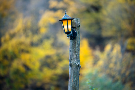 A lamp post with a light on top of it. The light is yellow and the lamp post is wooden. The scene is set in a forest with trees and leavesの写真素材