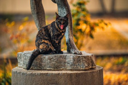 A cat is sitting on a statue and making a loud noise. The statue is made of stone and is located in a park. The cat appears to be enjoying its time on the statue, and the scene has a playfulのeditorial素材