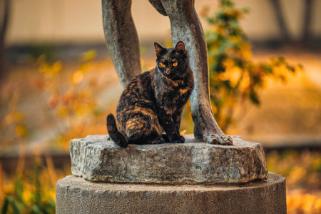 A black and orange cat is sitting on a stone statue. The statue is of a man, and the cat is looking at the camera. The scene has a calm and peaceful moodの写真素材