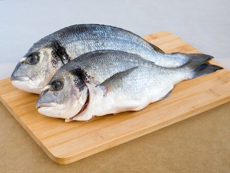Raw fresh organic dorado or sea bream on cutting board.の写真素材