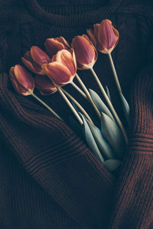 Bouquet of red and orange tulips on brown knit sweater as background. Vintage greeting card for 8 march, woman day, Celebration, vintage dark mood and lifestyle concept. Vertical top view. Copy spaceの写真素材