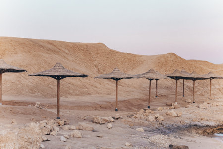 Sandy and rocky coast with palm beach umbrellas in paspel colors. Desolate resort beidge beach on...