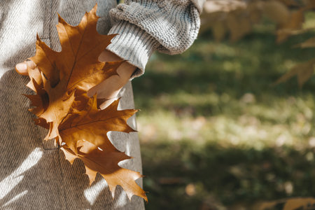 Close up view of brown oak leaves in the pocket of grey woman coat. Atmospheric autumn composition. Sunday relaxing, memories and still life concept. Bright fall vibes. Soft focus. Copy spaceの写真素材