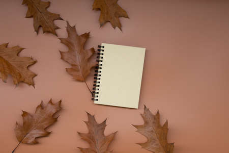 Minimalism autumn composition. Dry brown oak with blank sketchbook mock up on paspel background. Top view. Atmospheric fall flat lay. Hygge, thanksgiving day concept. Copy spaceの写真素材
