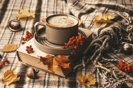 Atmospheric cozy autumn composition. Hot mug of coffee, book, fall leaves, chestnut, ashberry, acorns and cozy brown plaid as background. Sunday loneliness relaxing, hugge mood. Thanksgiving day.の写真素材