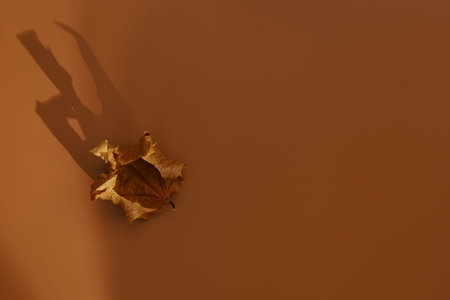 Minimalism autumn composition. Lonely dry leaf on paspel brown backgdrop. Top view. Atmospheric fall...