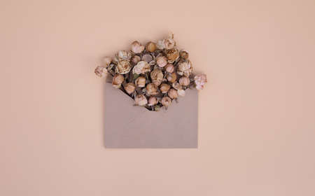 A bouquet of dried flowers in a craft brown envelope on pastel background with copy space. Greeting romantic card. Lonely Valentines Day. Love at distance. Dry rosses. Memory and loss concept.の写真素材