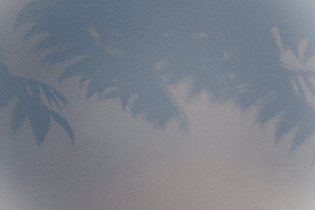 Leaves shadow background in sunset. Pastel colors. Calm gentle branches and leaf pattern on white...