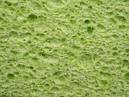 Cosmetic sponge texture background. Green color cleaning sponge material detail. Close up, macro view. Dish washing or beauty care.の写真素材
