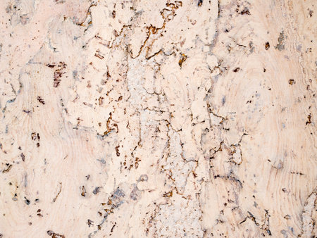 Abstract roughness cork texture pattern high resolution. Natural wooden decorative panel, pastel background. Crack, grain pattern beige wood backdrop for design and decoration.の写真素材