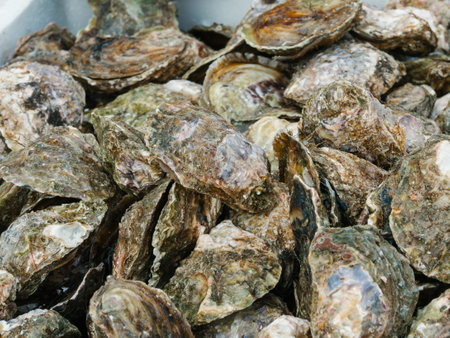 Traditional fish street market stall with freshly caught shell oysters on the seaside. Mediterranean seafood. Fresh organic oyster. Lifestyle. Soft focusの写真素材