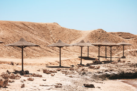 Sandy and rocky coast with palm beach umbrellas. Desolate resort beach on the coast shore of Red Sea. Sharm el Sheikh, Sinai, Egypt, Asia in summer hot. Popular tourist destination.の写真素材
