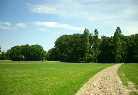 dirt road in the park