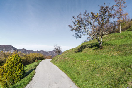  road in the countryside 