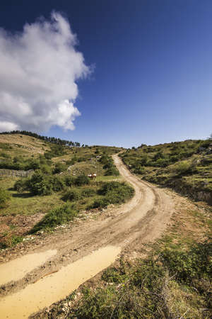rock trail near Guadagnolo, Italyの写真素材