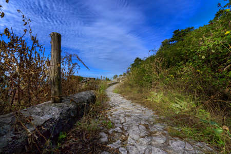 ancient Roman paved road on the Prenestine mountainsの写真素材
