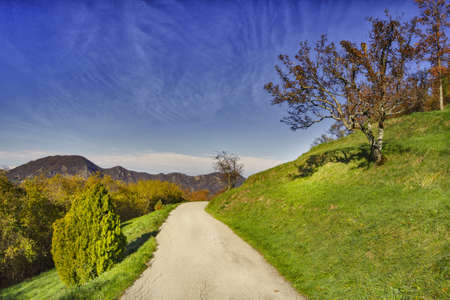 Road crosses the green Ligurian hillsの写真素材