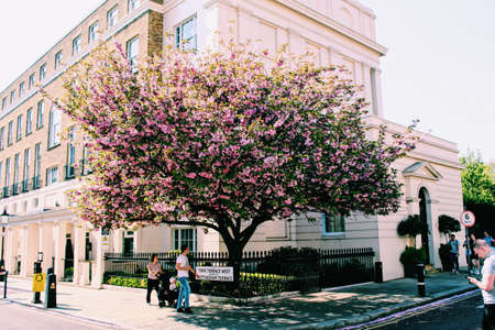 Processed with VSCO with c1 presetのeditorial素材