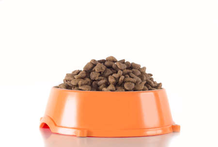 Dog food in orange bowl isolated on white studio backgroundの写真素材
