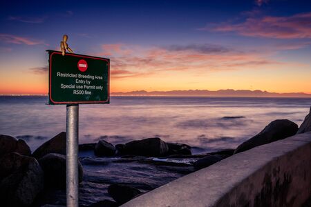 Wooden Human Manikin posing on beach at sunrise with a view of False Bay on a beautiful cloudy morning, Simon's Town , Cape Town, South Africaの写真素材