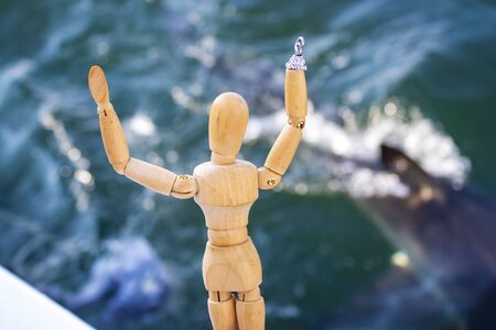 Great White Shark (Carcharodon carcharias) cage diving, Seal Island, Mossel Bay, South Africaの写真素材