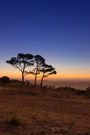 View of trees in silhouette with sunset in background Cape Town, South Africa, Table Mountainの写真素材
