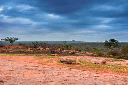 Dry landscape covered in acacia trees and angry storm clouds in the sky, Kruger National Park, South Africaの写真素材