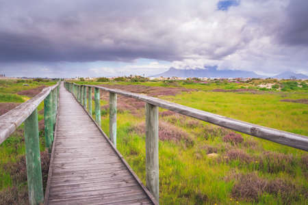View of  Table Mountain with a wooden board walk running through a wetland park, Cape Town, South Africaの写真素材