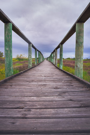 View of  Table Mountain with a wooden board walk running through a wetland park, Cape Town, South...