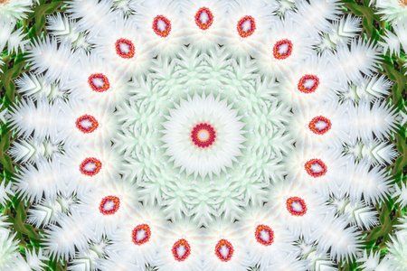 Multicoloured Kaleidoscope texture fractal backgroundの写真素材