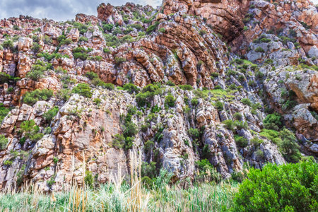 View of a Mountain range with large red rocky outcrops covered with lush green vegetation, Montagu Springs, Cape Town, South Africaの写真素材