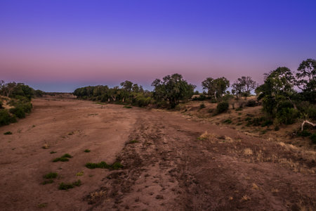 Travelling through a dry river bed landscape covered in acacia trees at sunset, Kruger National Park, South Africaの写真素材