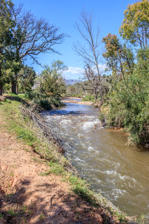 View of a running river surrounded by trees and bushes in a mountainous area in Cape Town, South Africaの写真素材